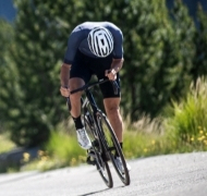 P Zero Race  category image