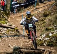 Scorpion Race DH category image